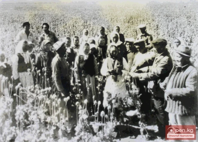 The Career Ladder of T. Dzholdoshev