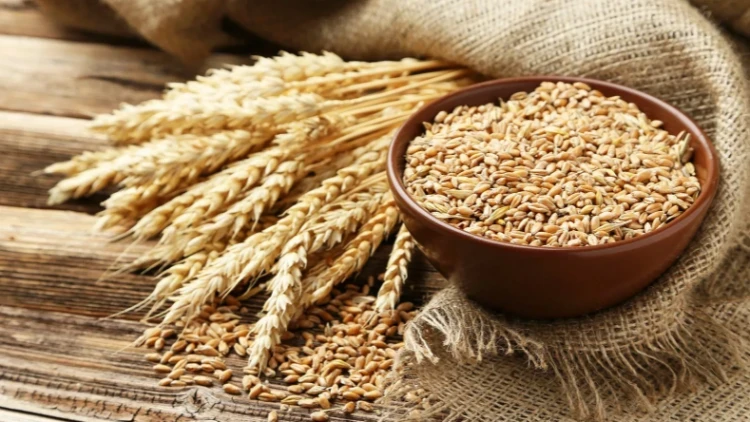 Умасленген буудай