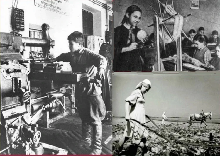 The Activities of the Local Councils of Frunze in Managing Enterprises During the Great Patriotic War