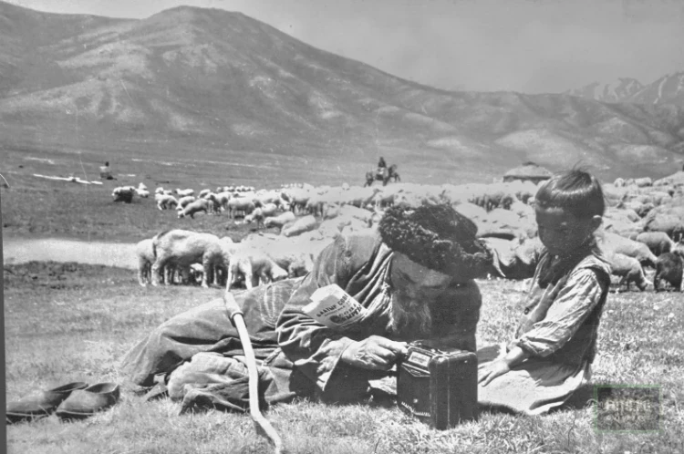 The Work of the Kyrgyz SSR on the Development of Public Animal Husbandry During the Great Patriotic War