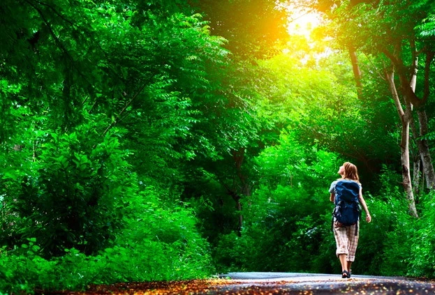 The Nature of the Mind: Which Walks Unload the Brain and Which Do the Opposite
