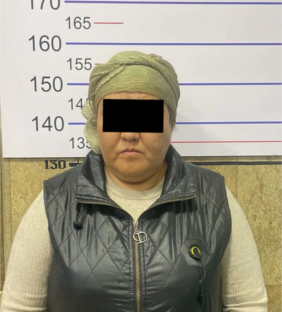 В Бишкеке задержана подозреваемая в серии мошенничеств при продаже земельных участков