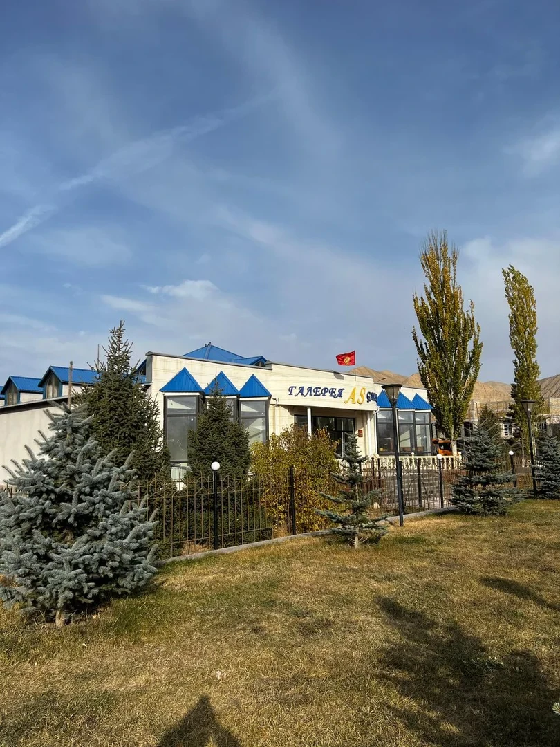 Нарын шаарында мамлекеттик менчикке искусство галереясынын имараты кайтарылды