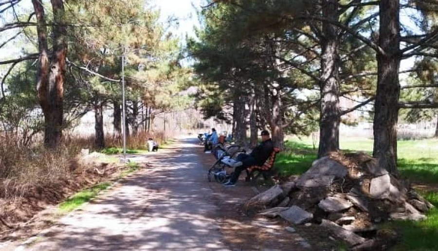 Sharp increase in parks in Bishkek according to the master plan - where is the land coming from, which is in short supply?