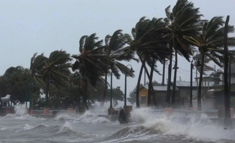 Storm "Melissa" in Jamaica: People Warned About Crocodiles