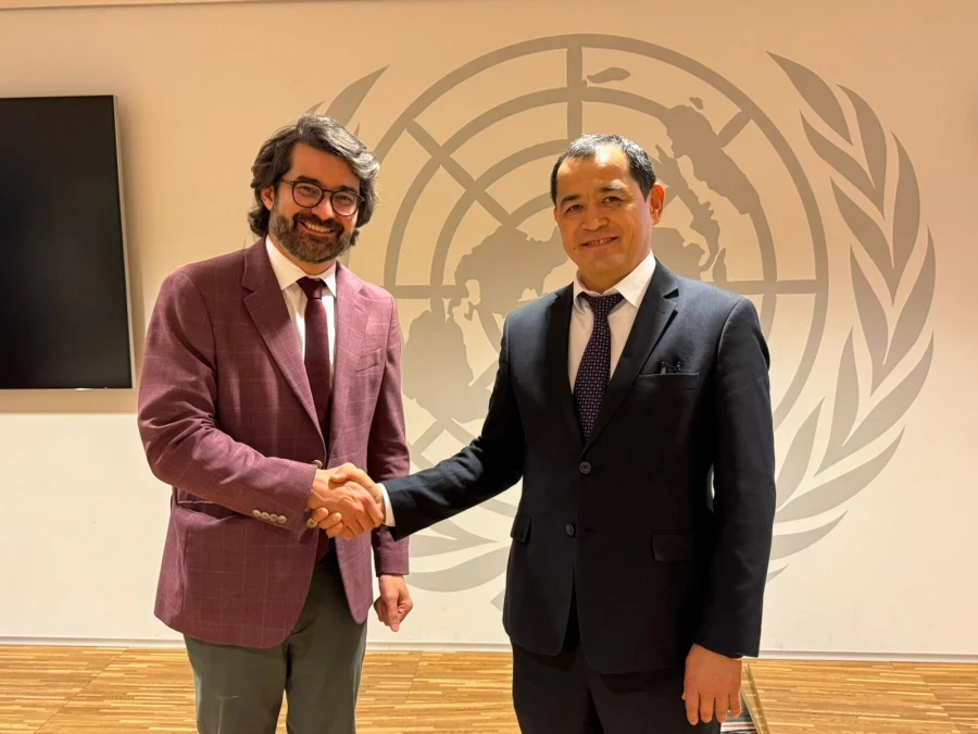 Кыргызстан ВОЗ менен ИИ жана санариптик саламаттык сактоо боюнча кызматташтыгын бекемдейт