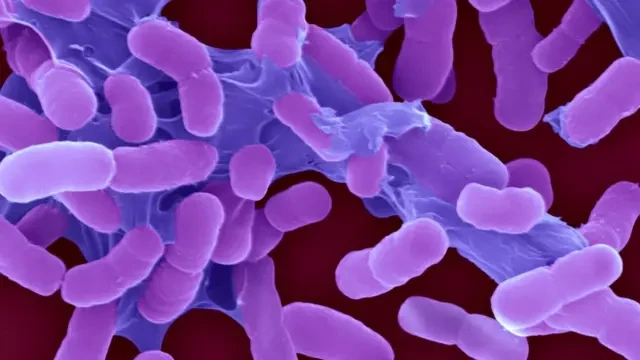 Scientists have discovered a new powerful antibiotic against superbugs