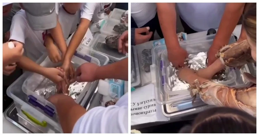 Lead in children's blood, liquid mercury in hands at the celebration: has the attitude towards health become more careless?