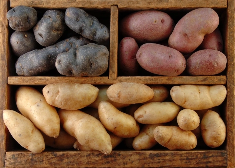 More than 25 tons of potatoes from China were not allowed into Kyrgyzstan