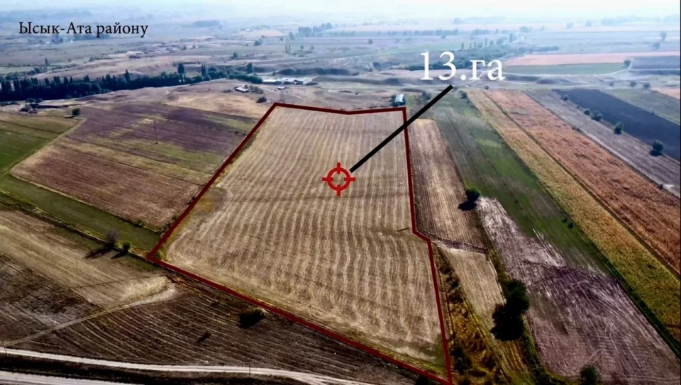 Государству вернули земельные участки в Ысык-Ате площадью 226 га