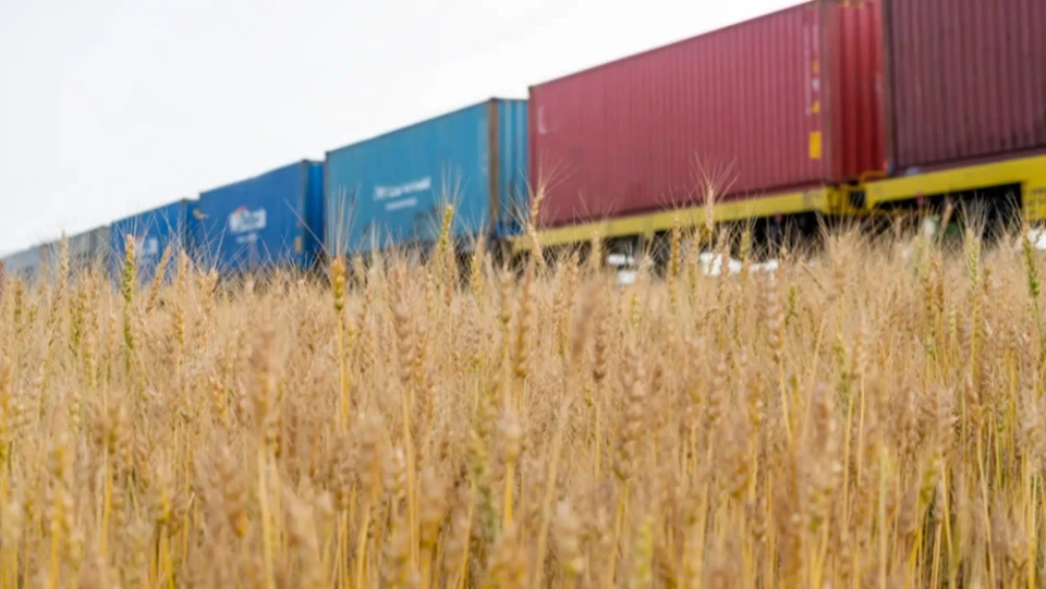 At the border of Kazakhstan and China, 3,000 grain wagons have accumulated, - KTZh