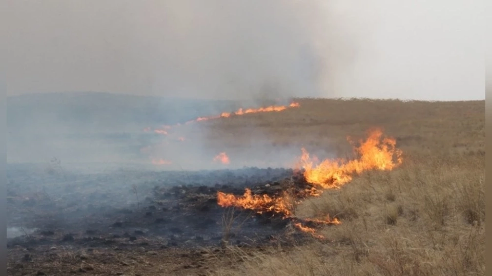 Steppe fire destroyed 800 hectares of land in eastern Mongolia