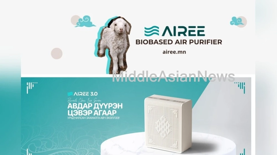 Жаңы монгол койлорунун жүнүнөн жасалган аба тазалагыч сатууга чыкты