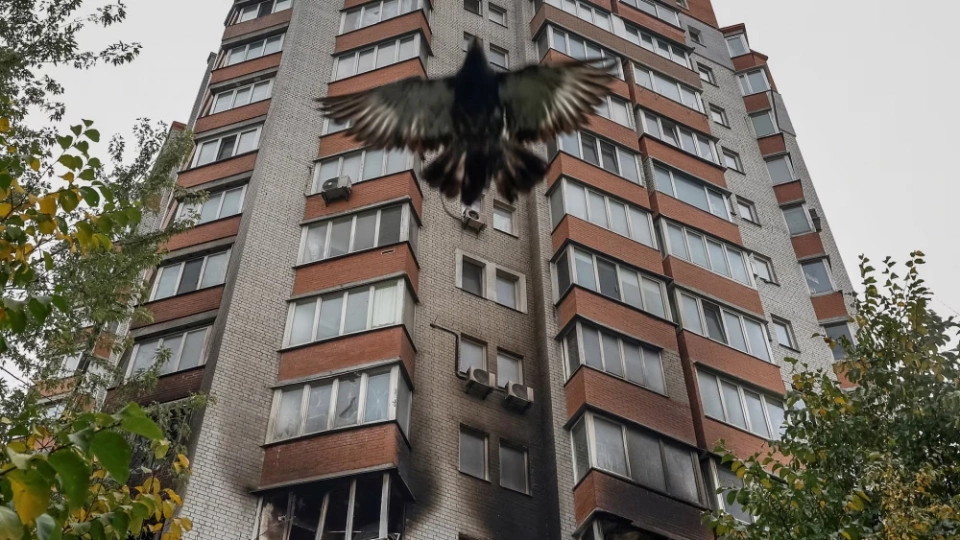 Events in Ukraine and the World. Main Highlights by the Morning of October 29