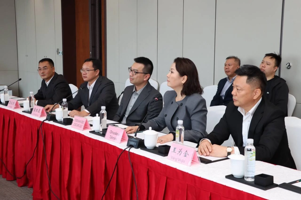 Agreement with China: A 250 MW Solar Power Plant Will Be Built in Kyrgyzstan