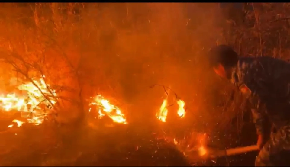 Police prevented a forest fire in the Tyup district