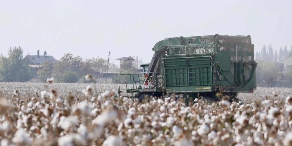 In Aravan, the introduction of drip irrigation has doubled cotton harvests