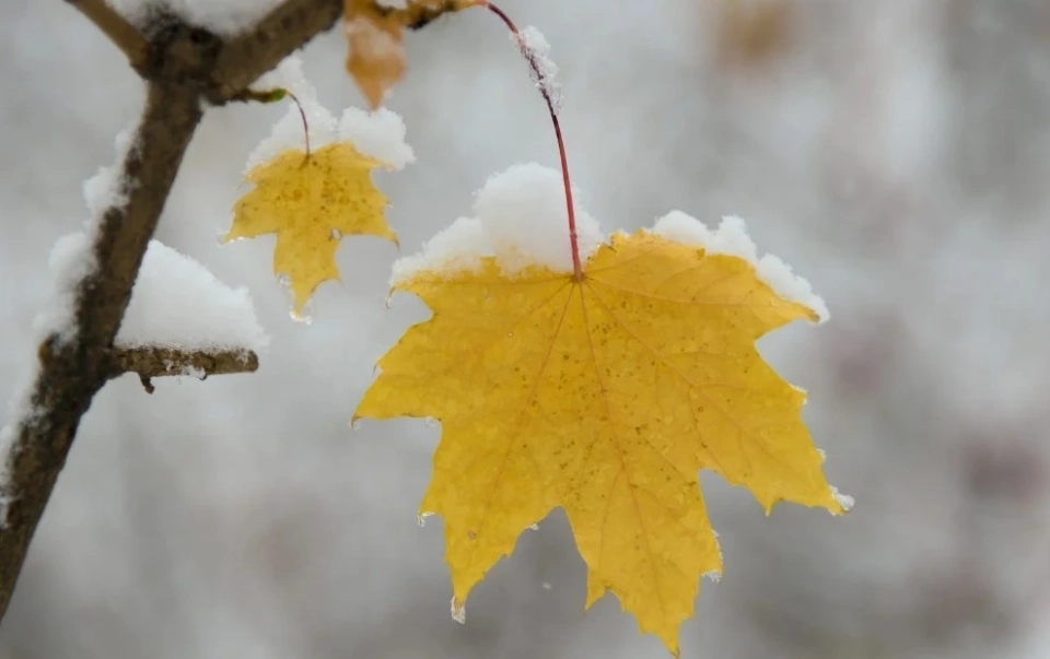 A sharp drop in temperature and the first snowfalls are expected in Bishkek