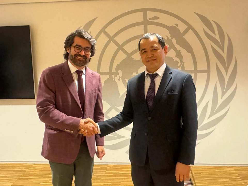 Kyrgyzstan Strengthens Cooperation with WHO in the Field of Digital Health and AI