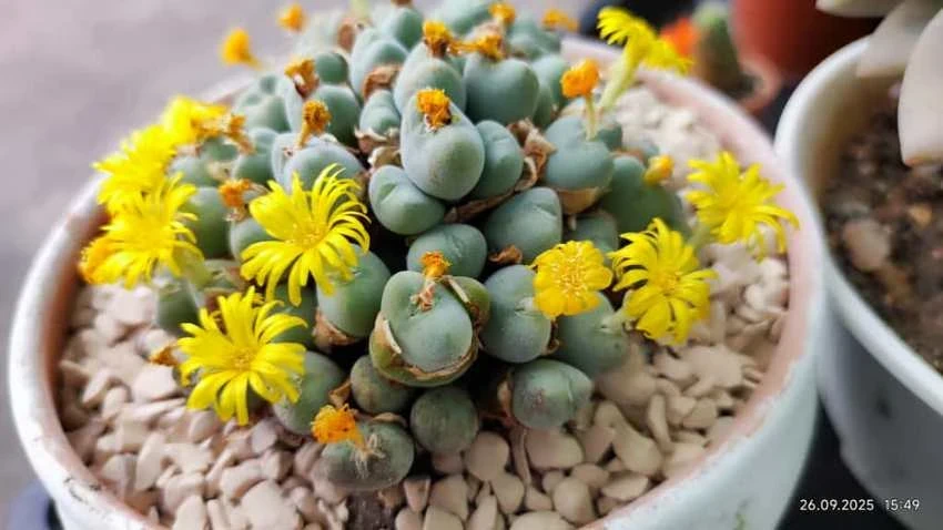 Иссык-Куль и озеро Кара-Камыш. Фото и видео читателей 24.kg