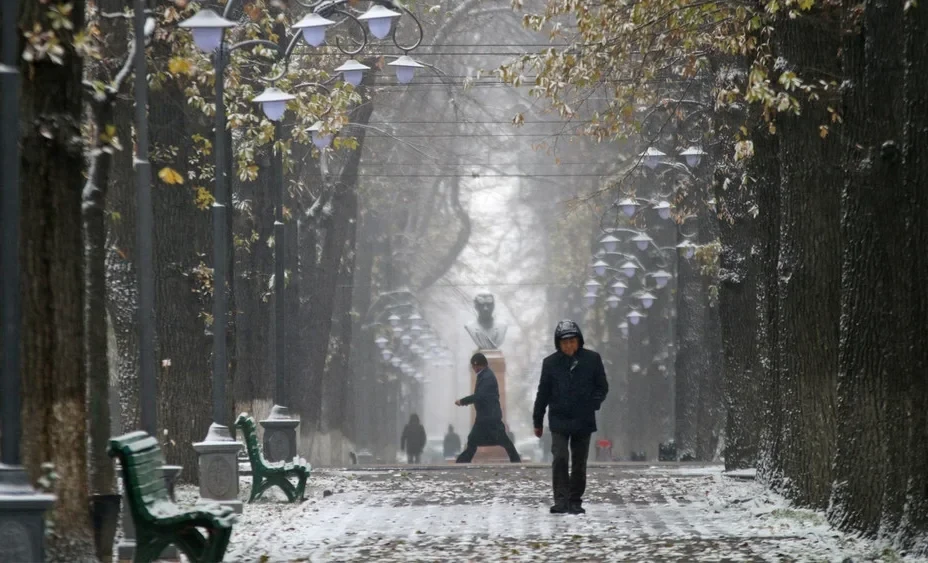 Подготовка к зиме: запаслись ли вы углем и сменили ли шины?