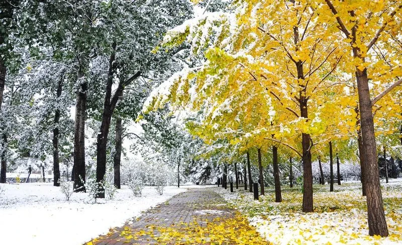 In Bishkek, temperatures will rise to +14° - forecast until November 12