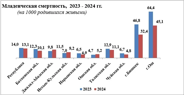 Младенческая смертность в Кыргызстане остается на высоком уровне