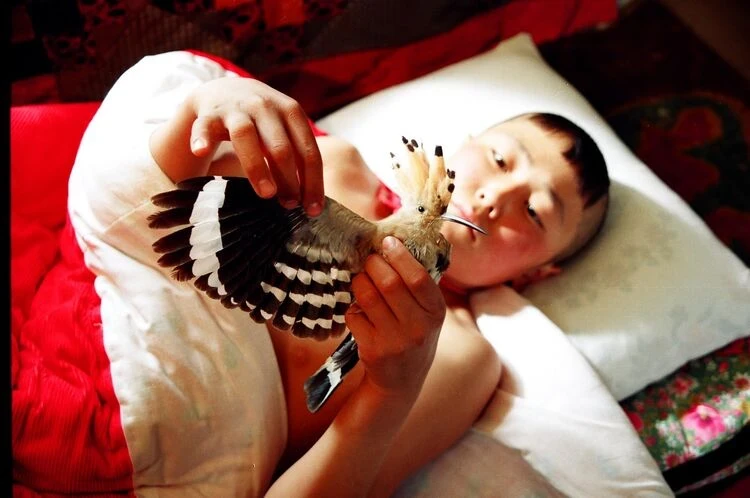 Фильм Актана Арыма Кубата 100 мыкты азиялык фильмдердин тизмесине кирди