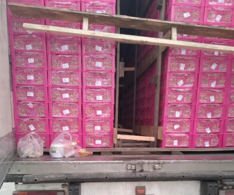 More than 20 tons of grapes from Kyrgyzstan were not allowed into Russia