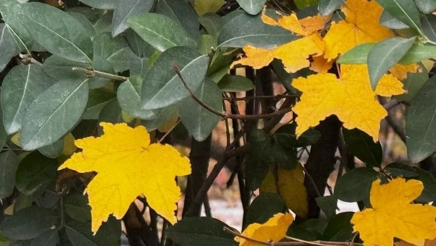 It will be relatively warm in Uzbekistan over the weekend.