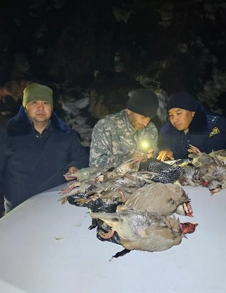 Рейды в городе Ош: штрафы за незаконную охоту и вред окружающей среде