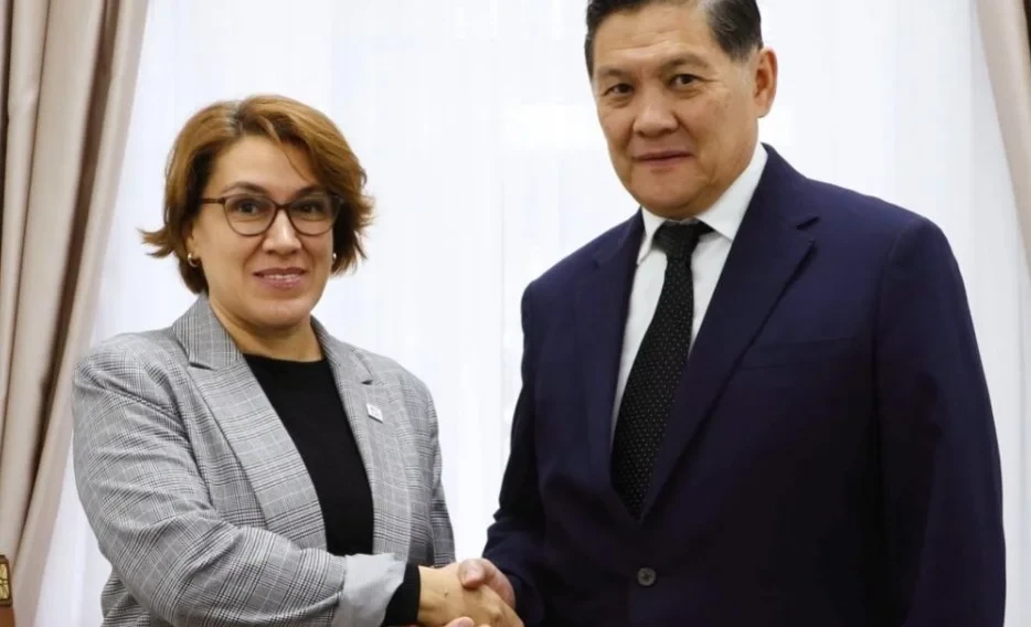 Kyrgyzstan and the IFC Discussed Cooperation Priorities