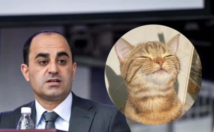 Ramiz Aliyev denies the shooting of cats, which is in the charter of the municipal enterprise 'Tazalyk'