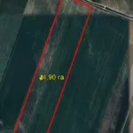 GKNB KR: 80 hectares of land returned to state ownership in the Issyk-Ata district