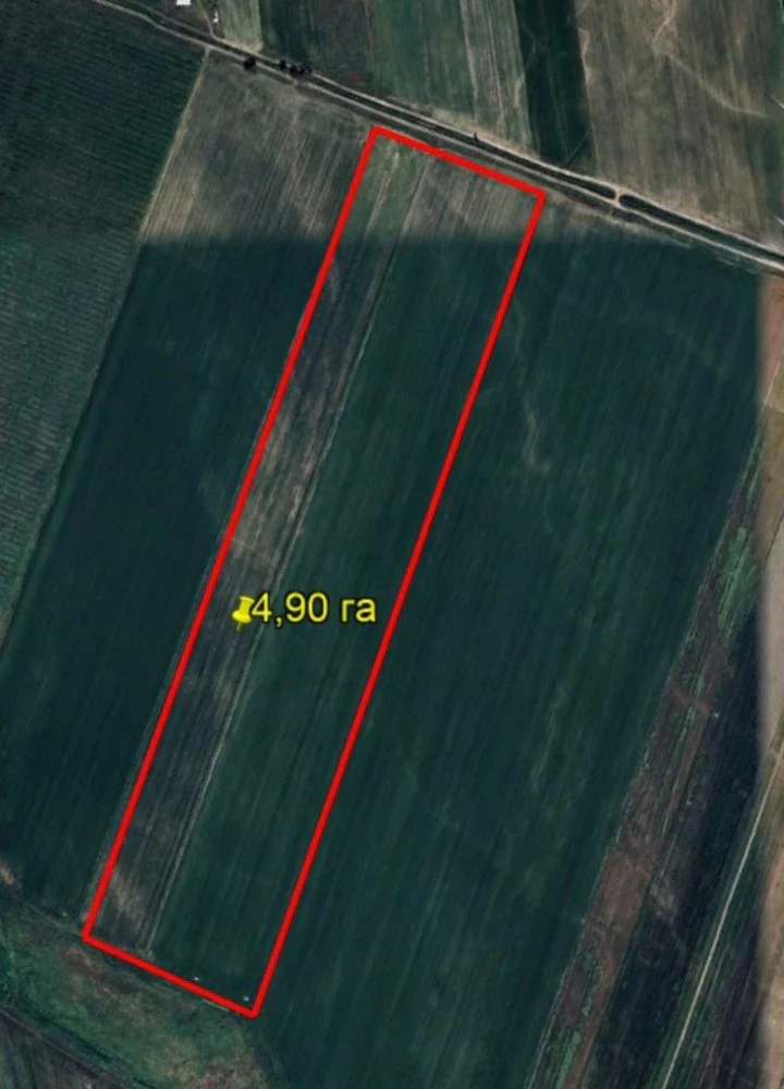 In the Issyk-Ata District, lands associated with Kolbaev's organized crime group were found