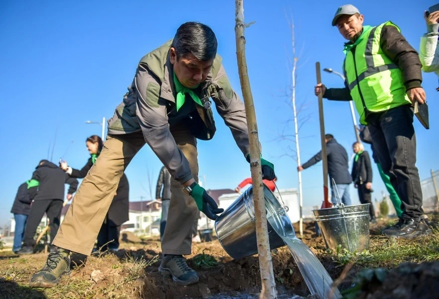 Бишкекте 500дөн ашык дарак отургузулду