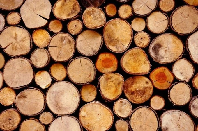 Kyrgyzstan Plans to Ban Timber Exports Outside the EAEU for Six Months