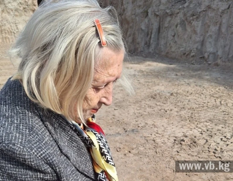 Археологдор Кузнечная крепостунан таштандыны алып кетүүнү жана волонтерлорду тартууну суранышууда