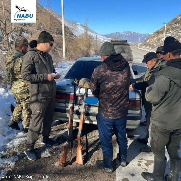 In Kemin, poachers were fined 35,000 soms