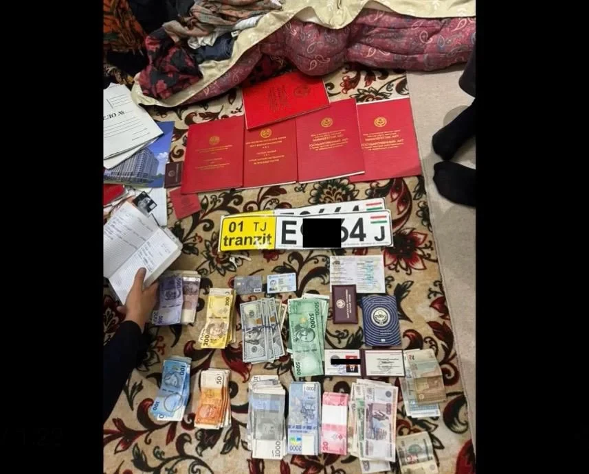 Channel for transporting contraband goods and household appliances in Batken region intercepted