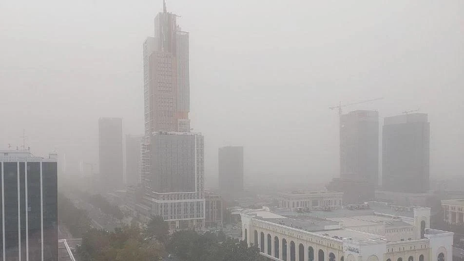 The authorities of Tashkent identified greenhouse farms as a source of air pollution in the capital