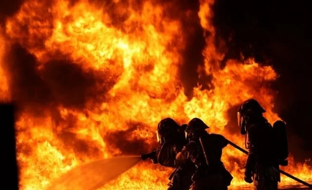 In the past 24 hours, 22 fires have been registered in Kyrgyzstan