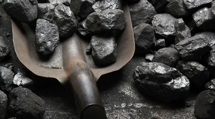 Подготовка к зиме: где можно купить уголь в Бишкеке