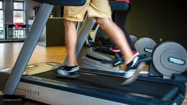 Применение креатина снижает темпы старения мышц и мозга