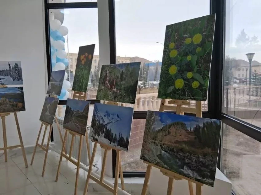 Выставка «Катунь заповедная» открылась в Нарыне