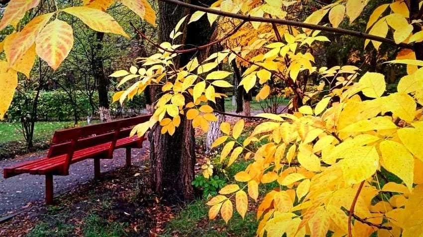 Узбекистанда дем алыш күндөрү абдан жылуу болот