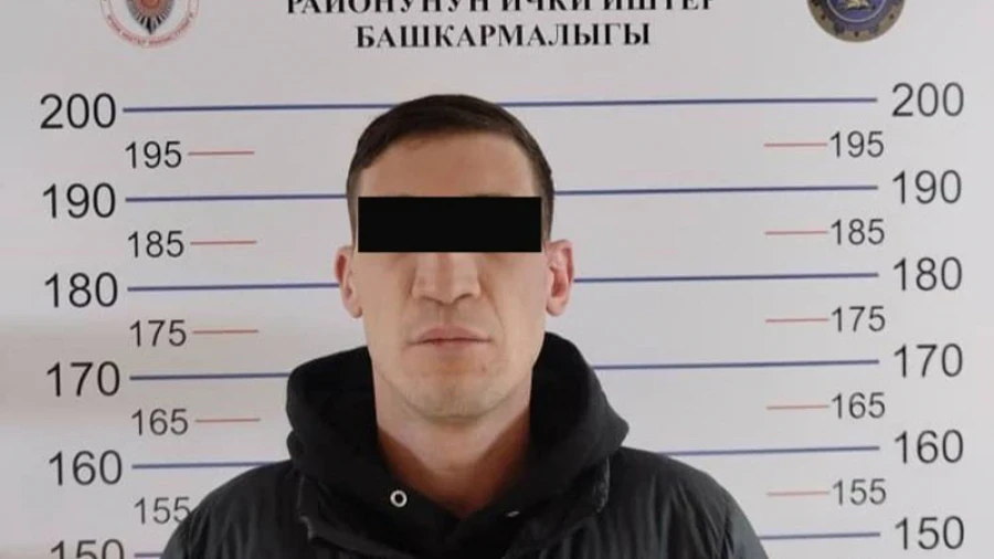 A man who insulted police officers was detained in Bishkek