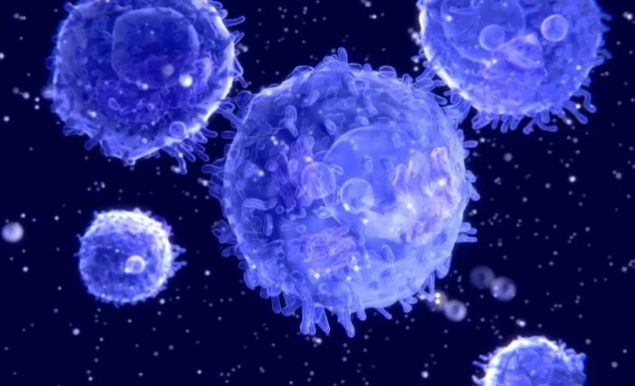 Күчтүү вируска каршы узак мөөнөттүү коргоо механизмдери ачылды