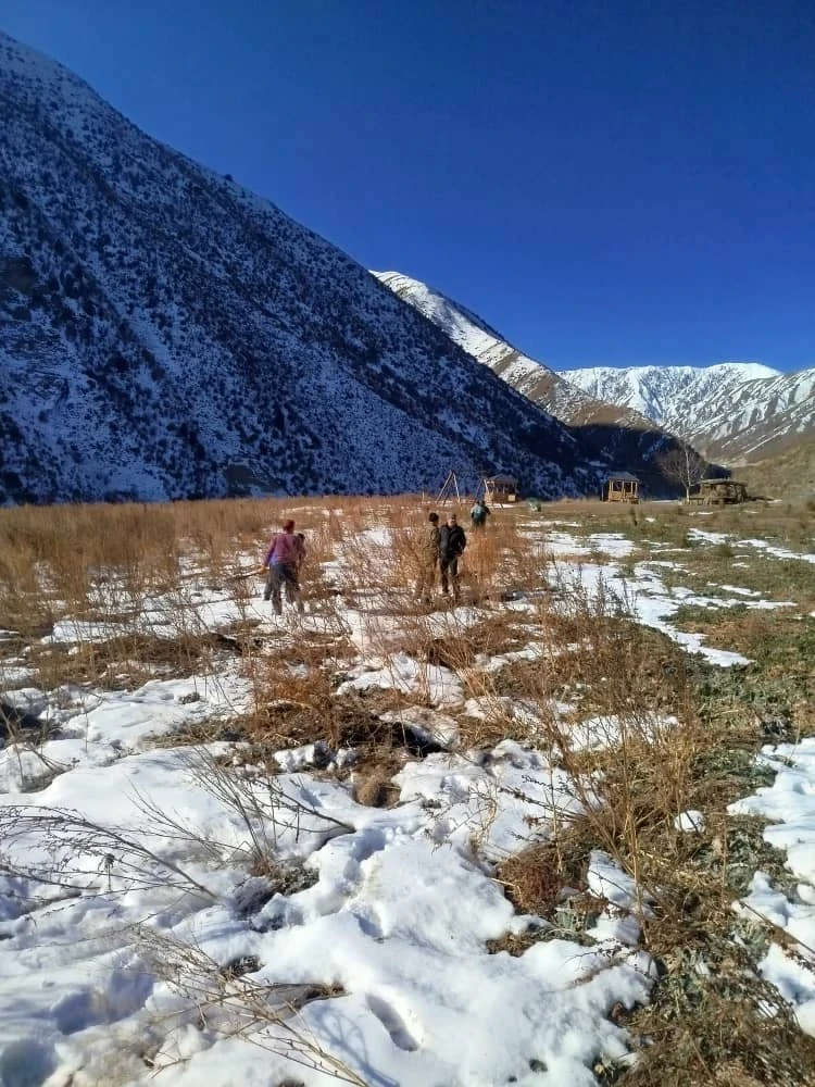 In the "Saymaluu-Tash" Park, 40 trees were planted as part of the "Green Heritage" program