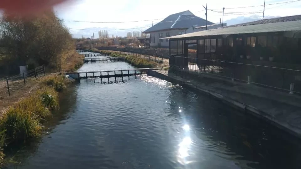Талас облусундагы айрым балык чарбачылыгы чарбаларында мыйзам бузуулар аныкталды